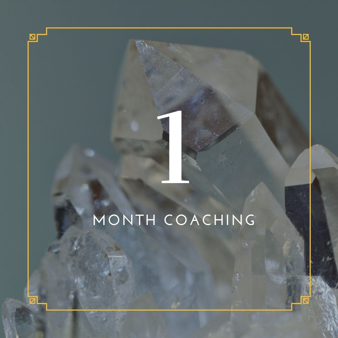 1 month coaching 1 month coaching