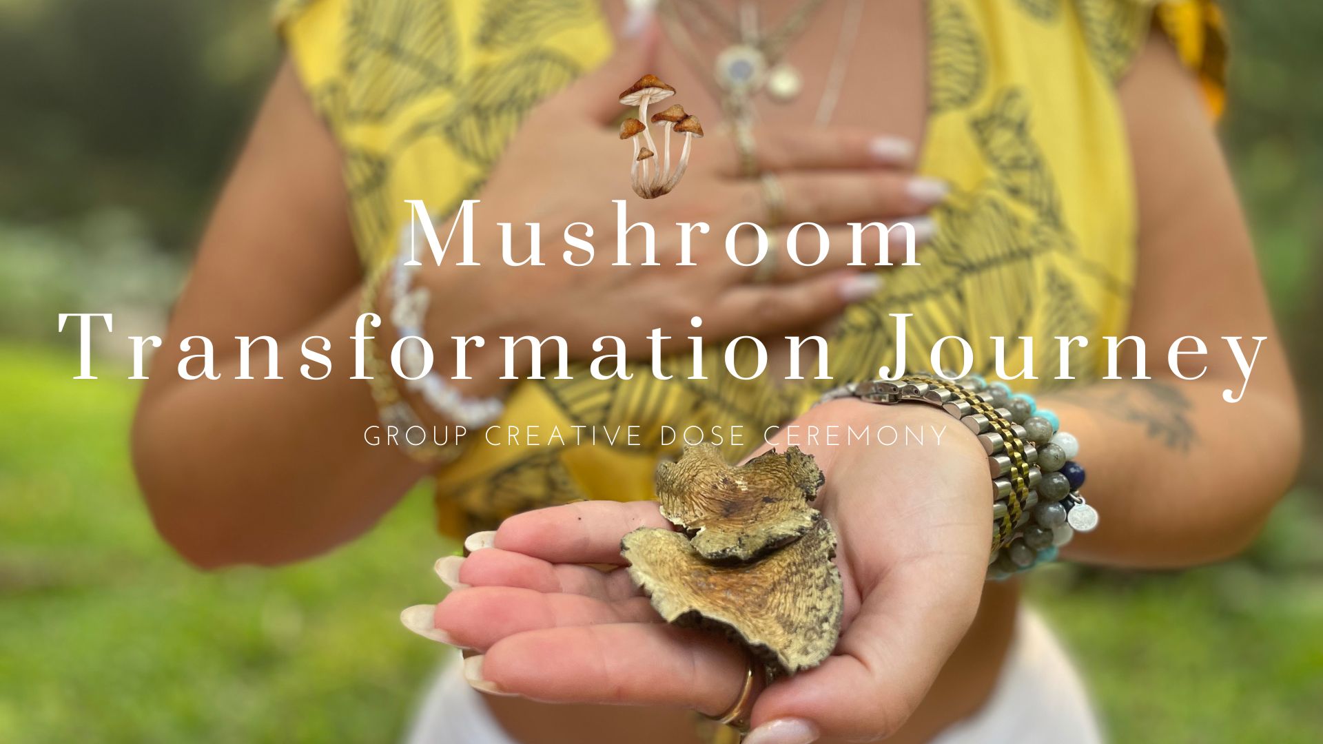 Mushroom Journey