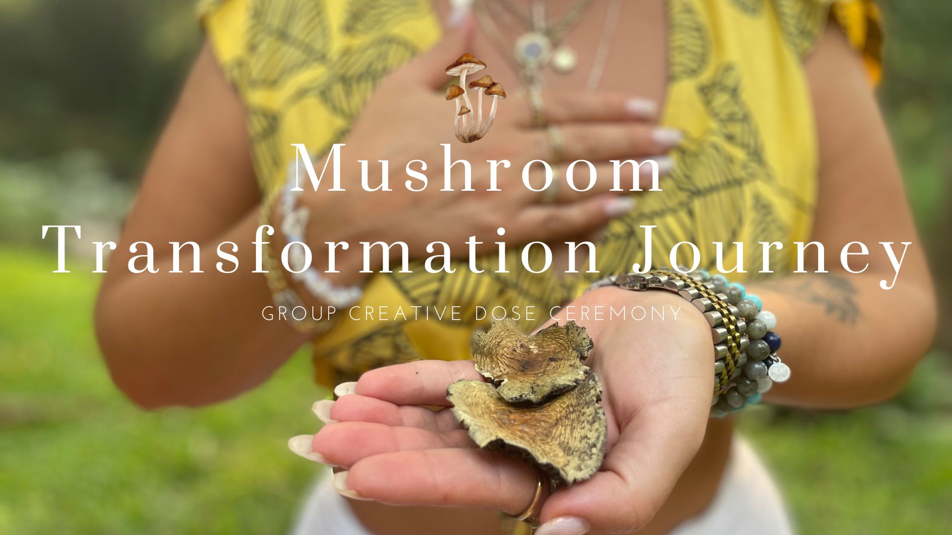 Mushroom Journey Mushroom Journey