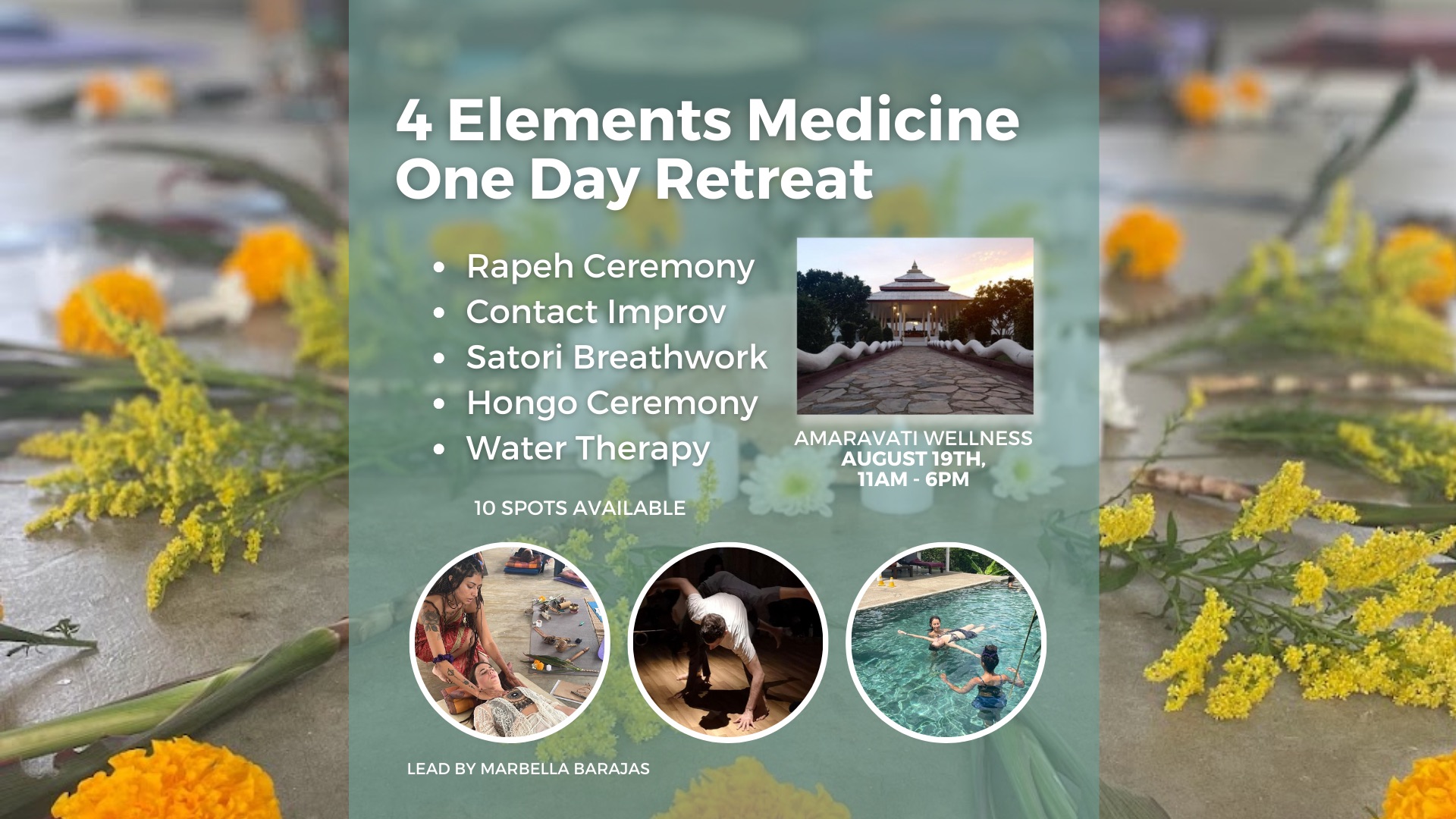 4 Elements Medicine- 1 Day Retreat