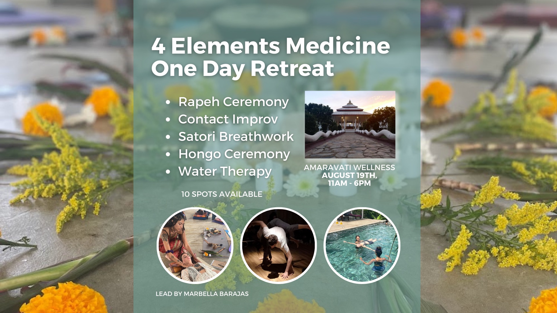 4 Elements Medicine- 1 Day Retreat 4 Elements Medicine- 1 Day Retreat